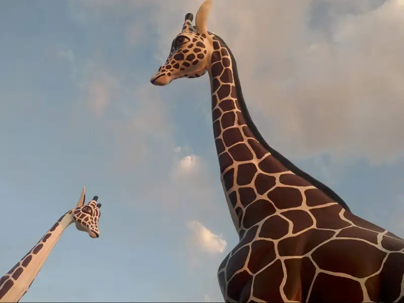 The giraffes at Putts N Pints